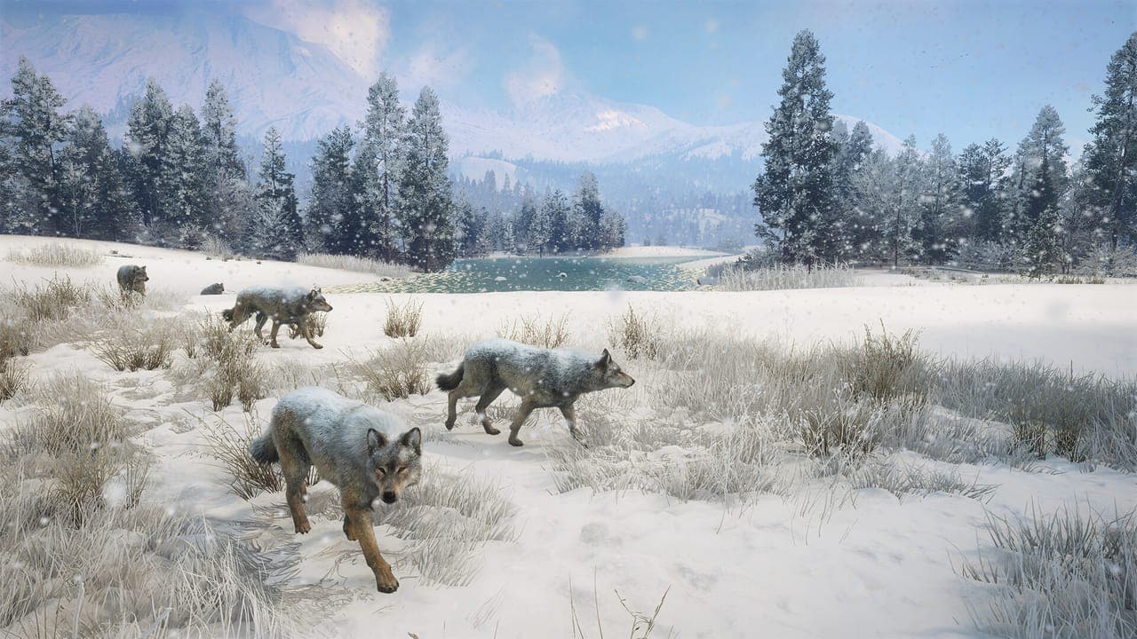 A pack of gray wolves trotting across a snowy clearing ringed by pine trees, with a lake and mountains in the distance, in theHunter: Call of the Wild