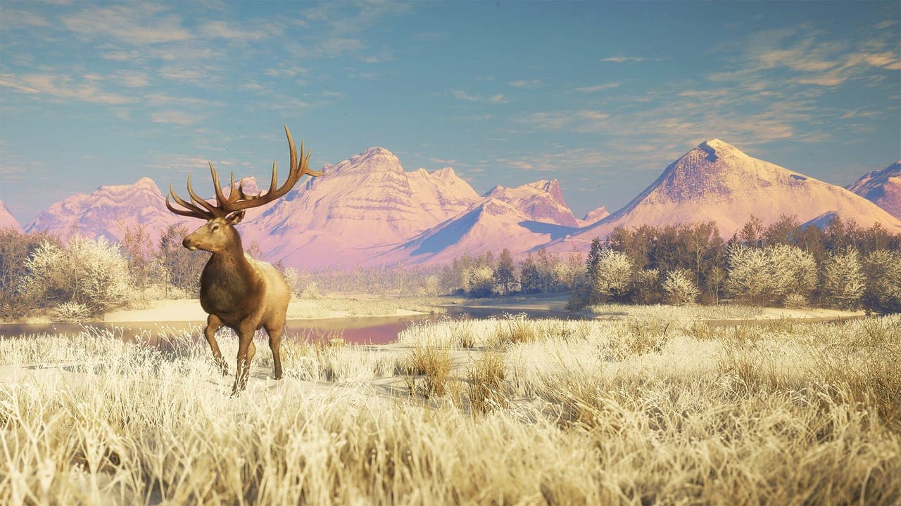 Askiy Ridge Guide: Animals, Weapons and Whether to Buy It