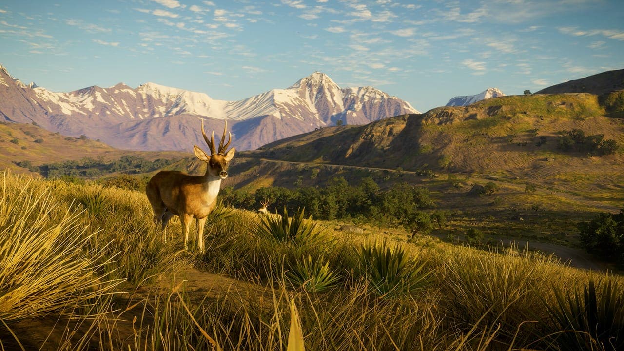 A small antlered deer standing in golden grass on an open hillside with snow-capped mountains behind it in theHunter: Call of the Wild