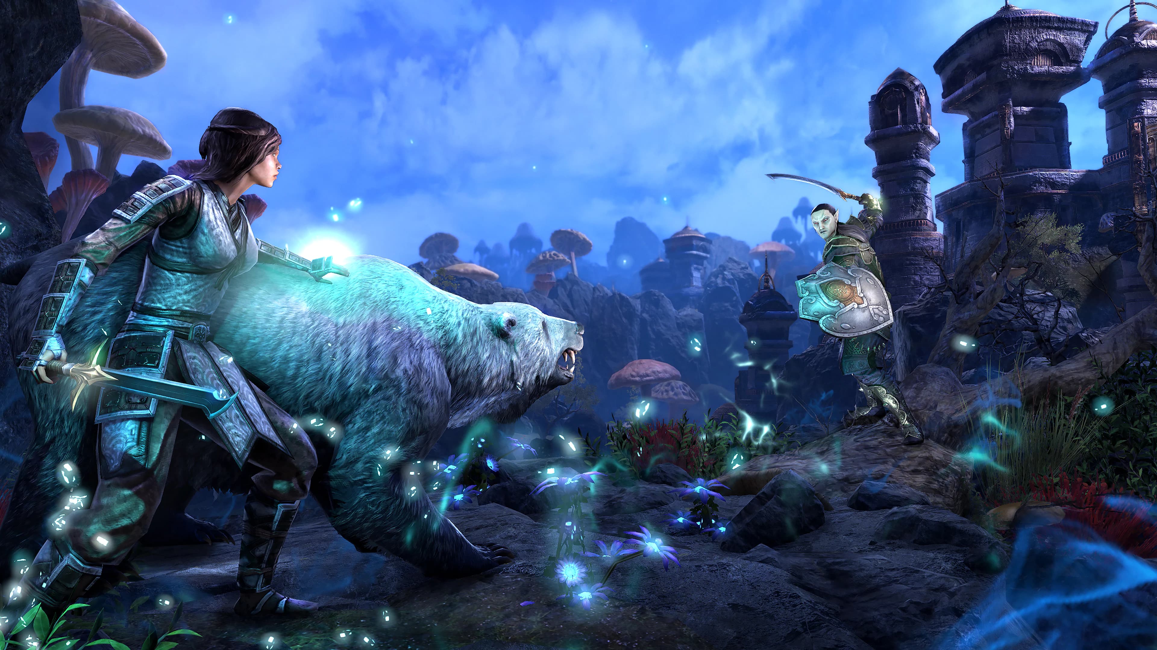 The Elder Scrolls Online, Length and value