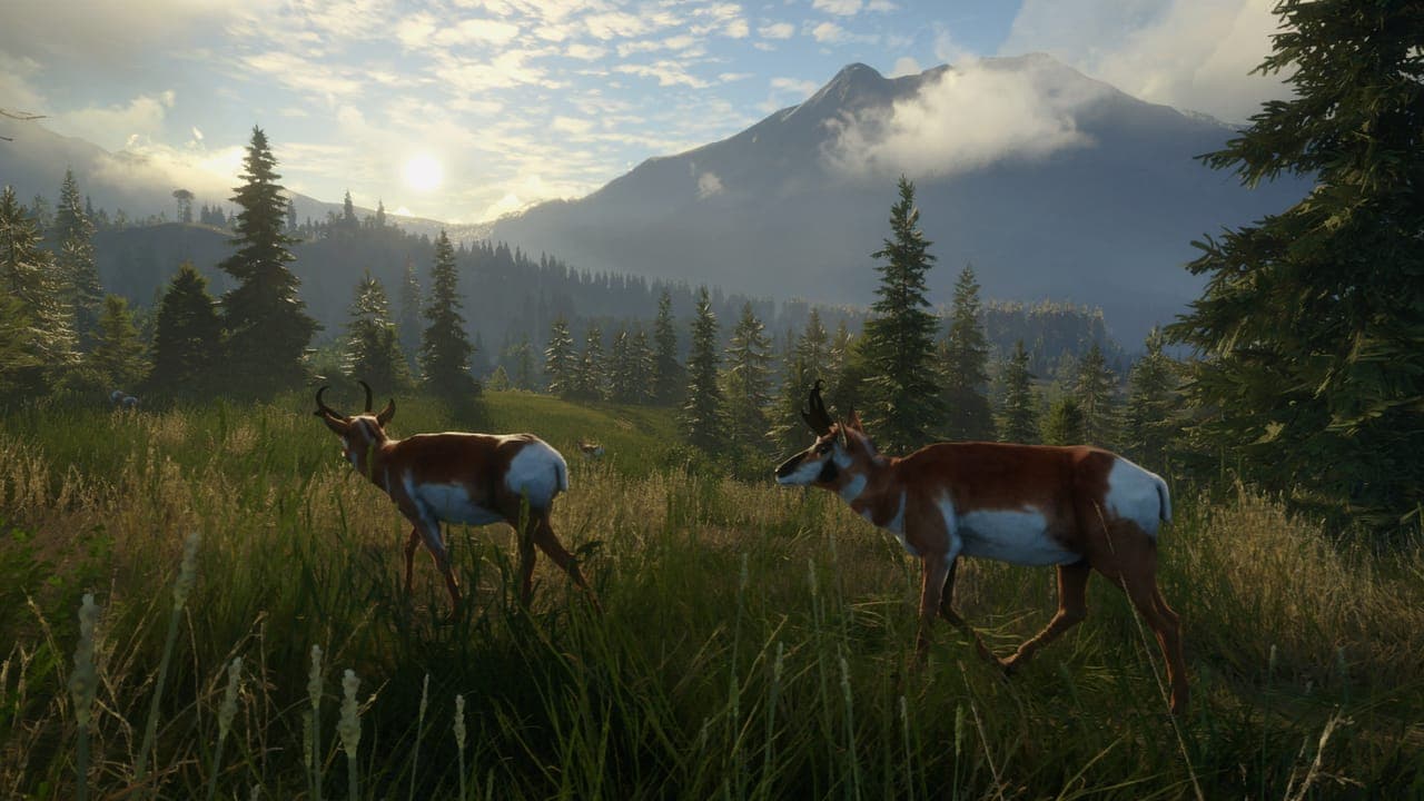 Two pronghorn walking through tall grass with pine trees and a mountain behind them in theHunter: Call of the Wild